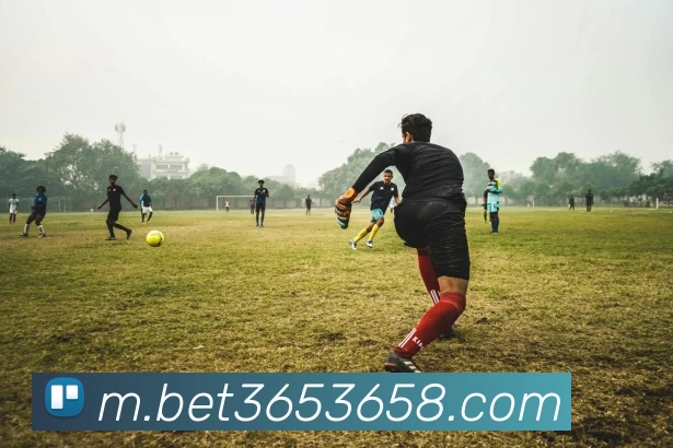 bet365中国官网平台生态图